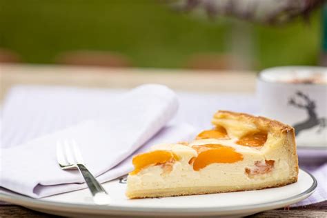 Schnelle gesunde gerichte für jeden tag. Rezept - Leckerer Aprikosen-Schmand-Kuchen - Leichter ...