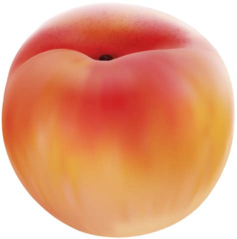 Clip Art Peach 20 Free Cliparts Download Images On Clipground 2024