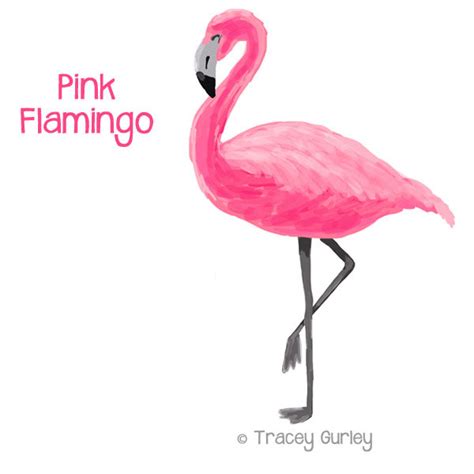 Plastic Flamingos Clipart 20 Free Cliparts Download Images On