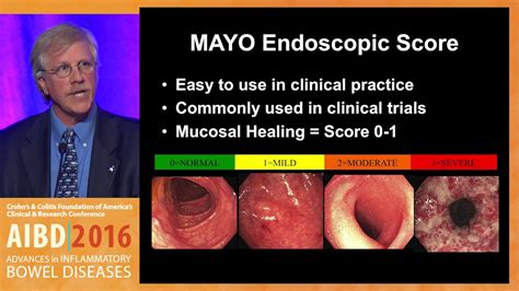 How Can We Best Determine Endoscopic Severity In Ulcerative Colitis And
