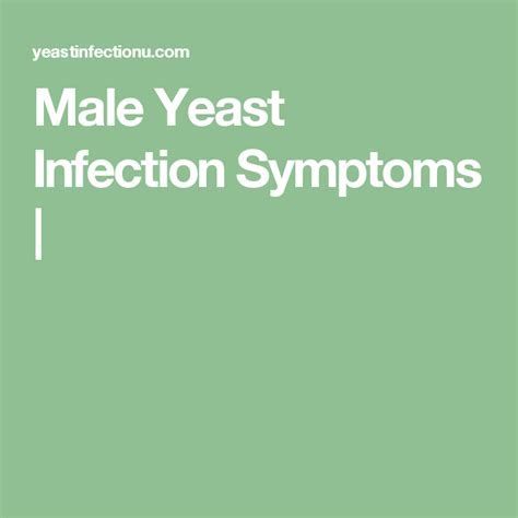 Male Yeast Infection Symptoms Yeast Infection Male Yeast Infection