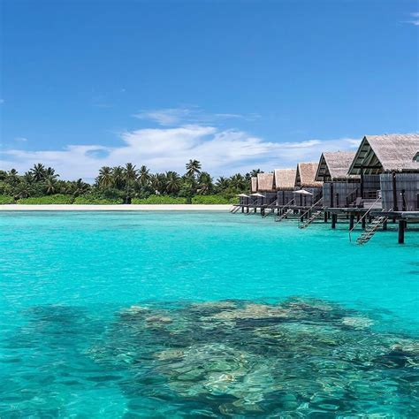 Our House Reef Is Just A Few Strokes Away From Your Villa At Shangrila