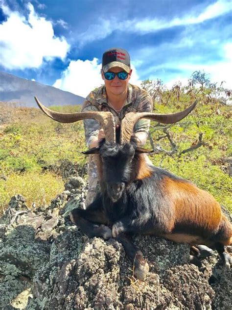 Hawaii Axis Deer Feral Goats And Hogs Free Range Hunting Packages