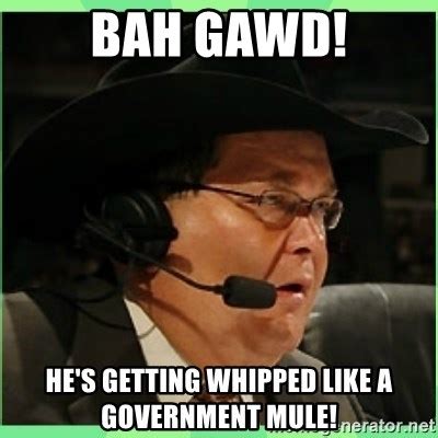 Bah Gawd He S Getting Whipped Like A Government Mule Jim Ross Meme Generator