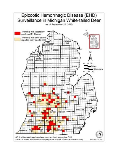 Deer Killing Ehd Virus Found In Washtenaw County