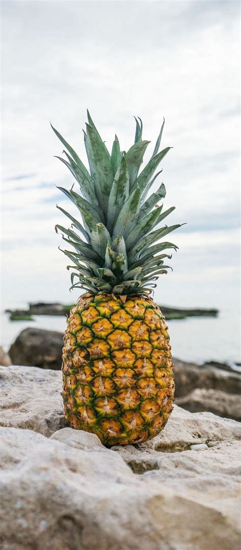 Pineapple Rocks Beach 1080x2460