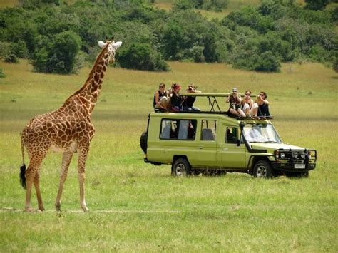 Get Awesome Adventures Opportunities On Your Tanzania Safari Tours