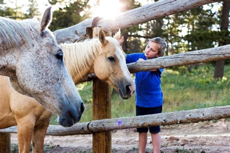 Girl With Horses Colorado Ranch