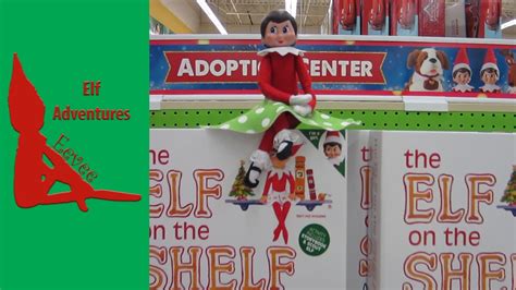 eevee s elf adventures ~ elf on the shelf ~ adoption center ~ get