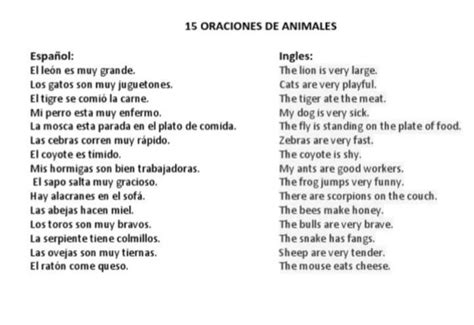 20 Oraciones En Ingles De Animales Y Español Brainlylat