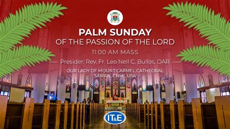 Palm Sunday Of The Passion Of The Lord 11 Am Mass Roman Catholic