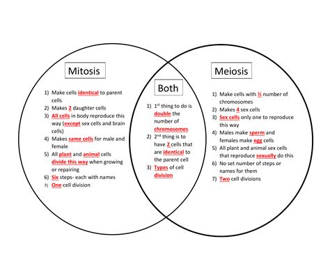 In mitosis, a process of asexual reproduction, a cell is divided into two thus creating a duplicate, with an identical number of chromosomes in an individual produced diploid cell i.e. 34 Mitosis Vs Meiosis Venn Diagram - Wiring Diagram Database