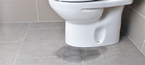 Toilet Leaks When Flushed