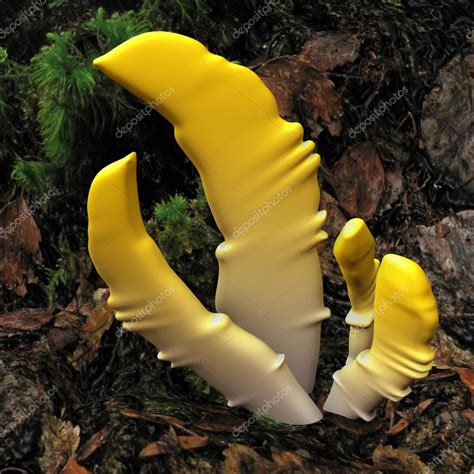Ascomycetes Fungus In Forest — Stock Photo © Sciencepics 72992755