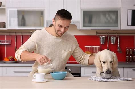 Chicken is a great source of protein, an essential nutrient for your pooch to stay healthy. How To Safely Feed Apples To Your Dog | Can dogs eat ...