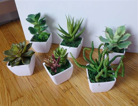 900 x 900 jpeg 148 кб. Small Potted Artificial Mini Plants Home Wedding Decor | eBay
