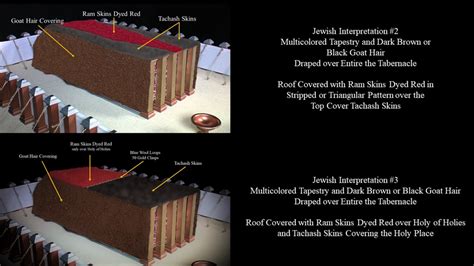 Coverings Of The Tabernacle Part 4 Badger Skins Tachash Exodus 35