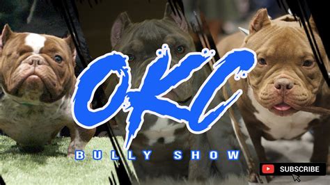 ABR OKC Bully Show 2021 American Bully Event YouTube