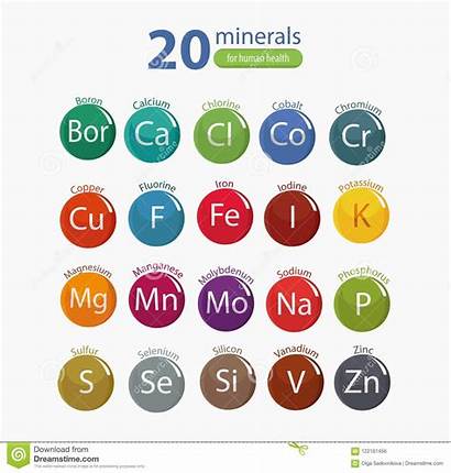 Minerals Human Health Healthy Organic