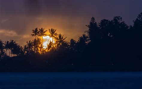 Download Wallpaper 3840x2400 Sunset Tropics Sun Palm Trees Sea 4k