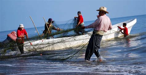 Sector Pesca Registra Una Caída Del 14 En Sus Exportaciones Vos Tv