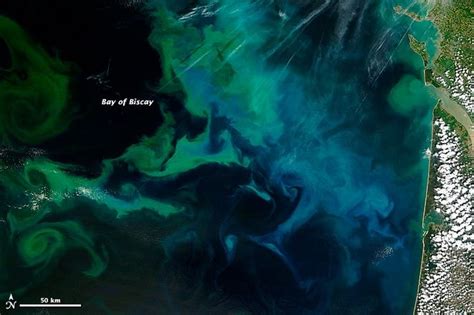 Nasa Satellite Shows Massive Bloom Of Phytoplankton Off Coast Of France