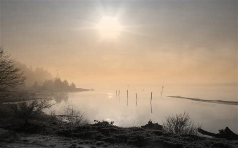 Nature Landscape Photography Mist Sunlight Shrubs Trees Lake Calm