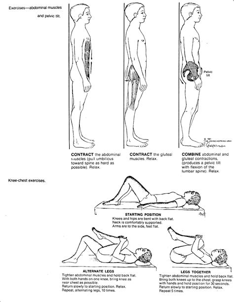 Learn how to draw the lower back muscles by learning their form. Pin on Exercise For Back Muscles