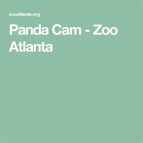 Panda Cam Zoo Atlanta Is Shown In White On A Light Green Background