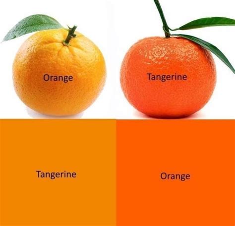 Apparently Oranges Are Not Orange Theyre Tangerine And Tangerines