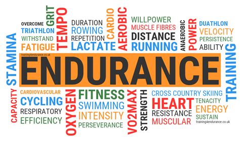 Endurance Meaning