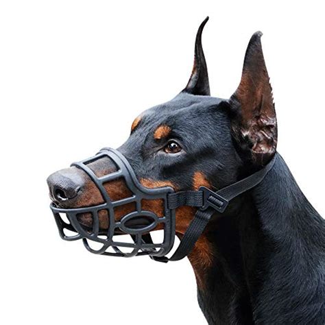 The 10 Best Dog Muzzle To Stop Biting Expert Reviews In 2022