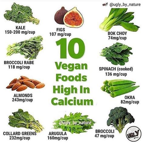 10 Vegan Foods High In Calcium Vegan Calcium Foods With Calcium