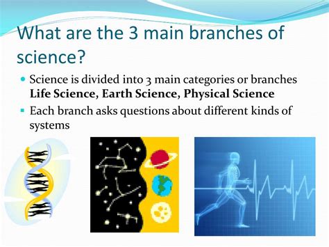 Ppt The Branches Of Science Powerpoint Presentation Free Download