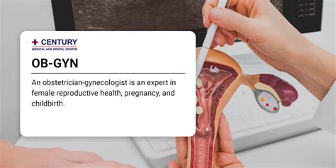 What Is The Difference Between An Obgyn And A Gynecologist Century Medical And Dental Center