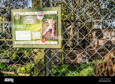 Ceredigon Wales 30th Oct 2017 Borth Wild Animal Kingdom The Search