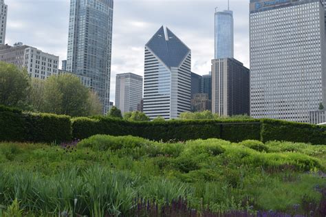 The Lurie Garden After The River Gardeninacity