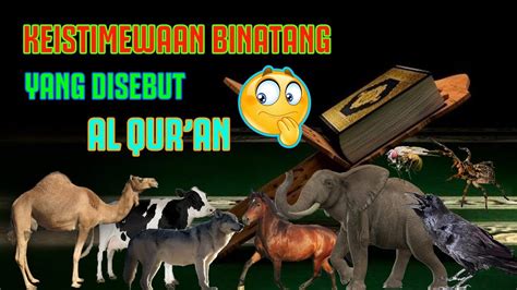 Keistimewaan Binatang Yang Disebut Dalam Al Quran 😨😇 Youtube