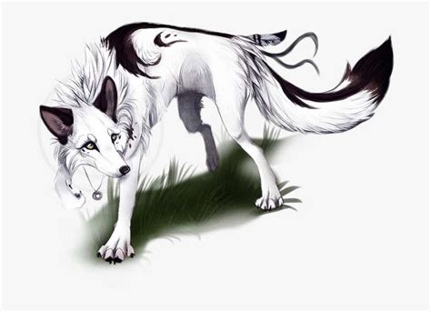 Wolf Werewolf Cute Anime Girl