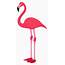 OnlineLabels Clip Art  Flamingo