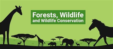 Conservation Of Forest And Wildlife Wildlife Conservation