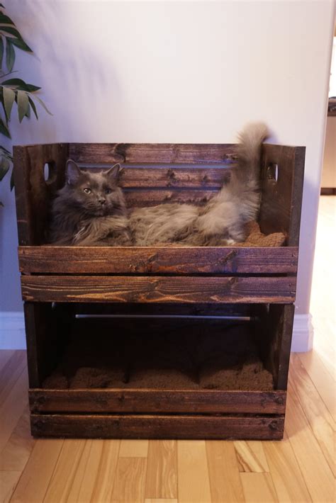 How To Build Cat Bunk Beds Out Of Crates Martensville Veterinary Hospital