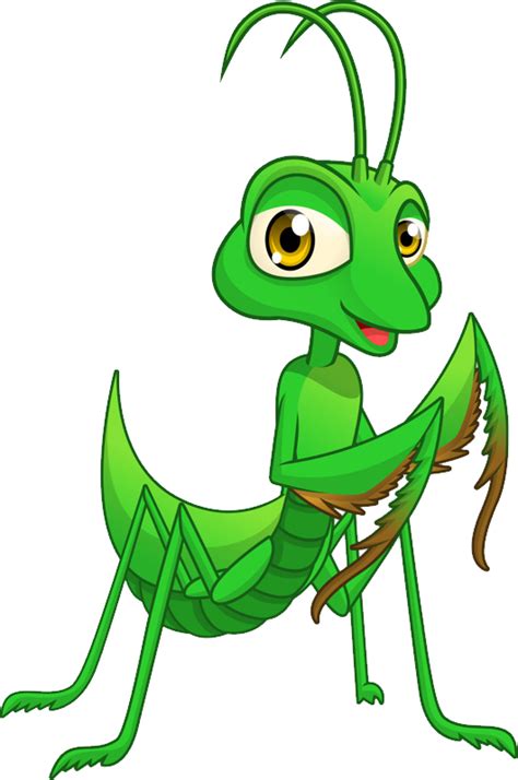 Mantis Png Transparent Image Download Size 530x799px