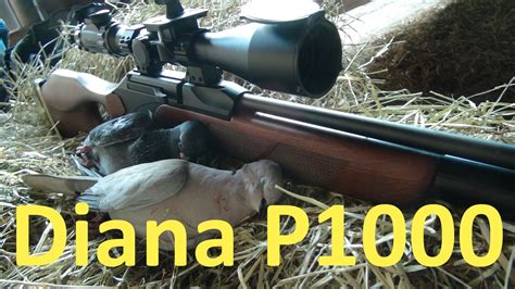 Diana P1000 177 On Test Youtube