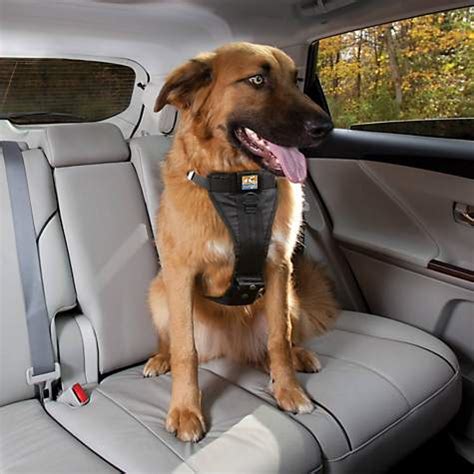 They function in the same way as a regular seatbelt and clip into the seatbelt receiver of your car. Kurgo Black Tru-Fit Crash Tested Dog Car Harness | Petco