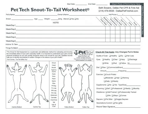 Pet Techs Snout To Tail Assessment For Injury And Wellness A