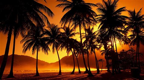 Tropical Sunset Wallpaper Desktop (68+ images)