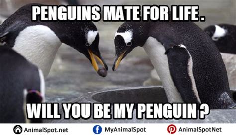 Penguins Of Madagascar Wouldnt That Make You Meme Template Penguins