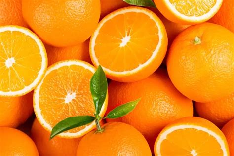 Tipos De Naranjas Variedades Y Características Fine Dining Lovers