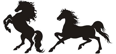 60 Wild Horse Kicking Stock Illustrations Royalty Free Vector